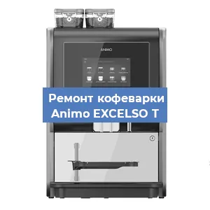 Замена прокладок на кофемашине Animo EXCELSO T в Перми